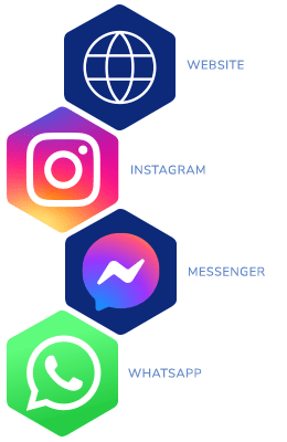 Chatbot for website, instagram, wordpress, whatsapp and Facebook Messenger