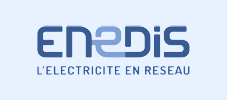 Enedis logo
